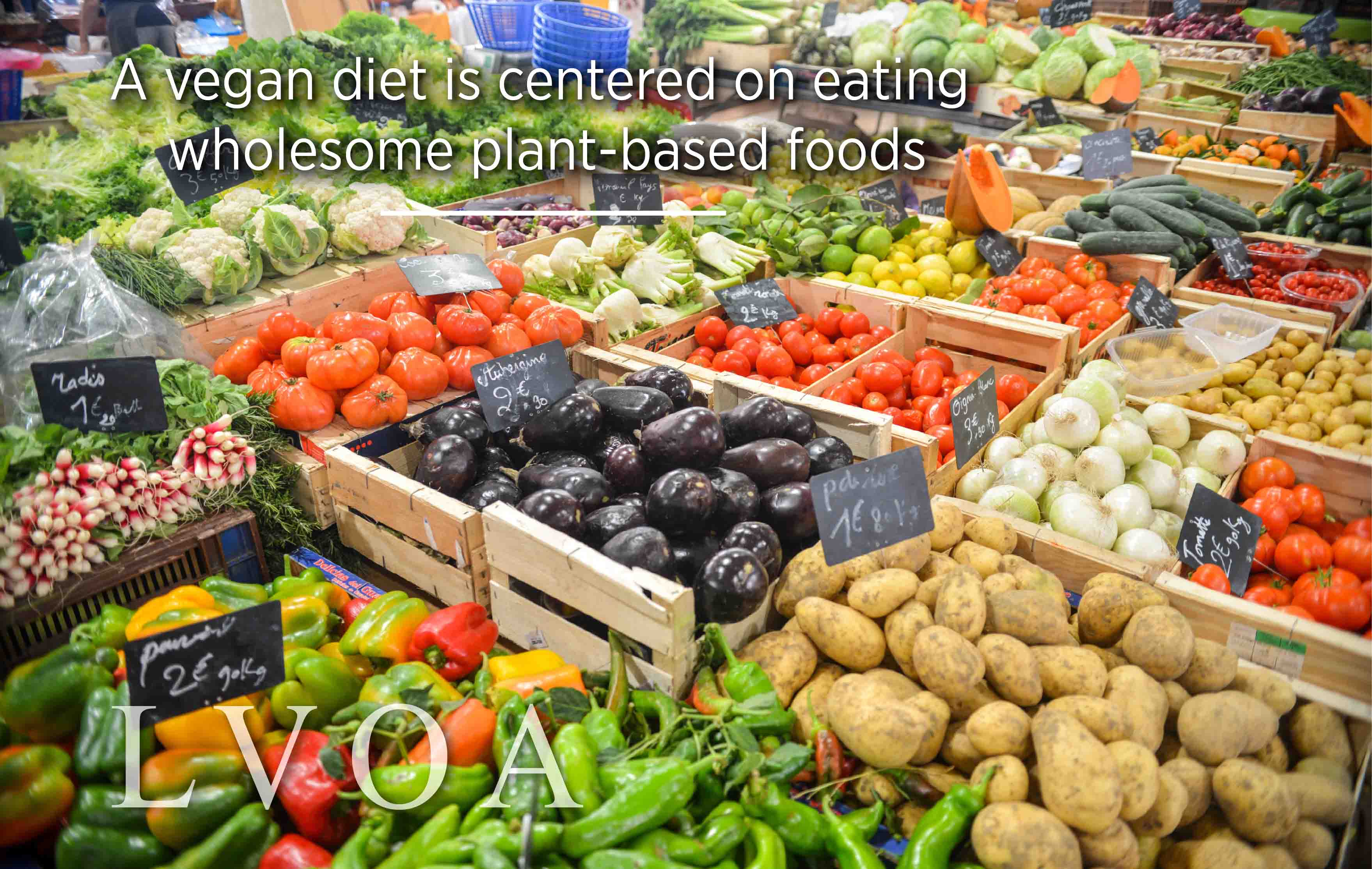 A vegan diet is centered on eating wholesome plant-based foods_LVO_Associates