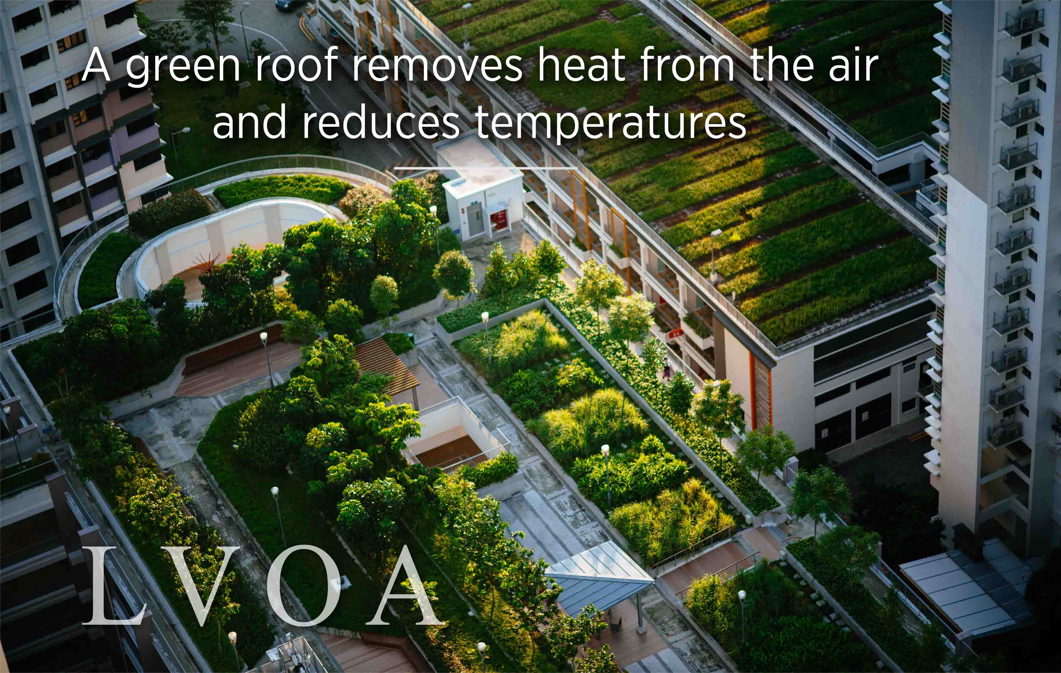  A green roof removes heat from the air and reduces temperatures