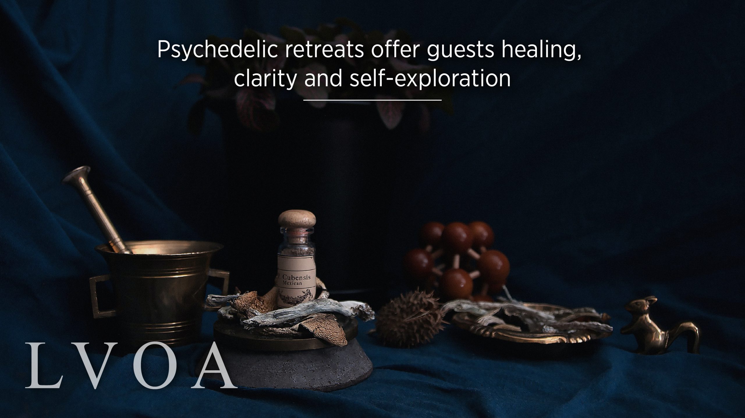 Psychedelic retreats offer guests healing, clarity and self-exploration