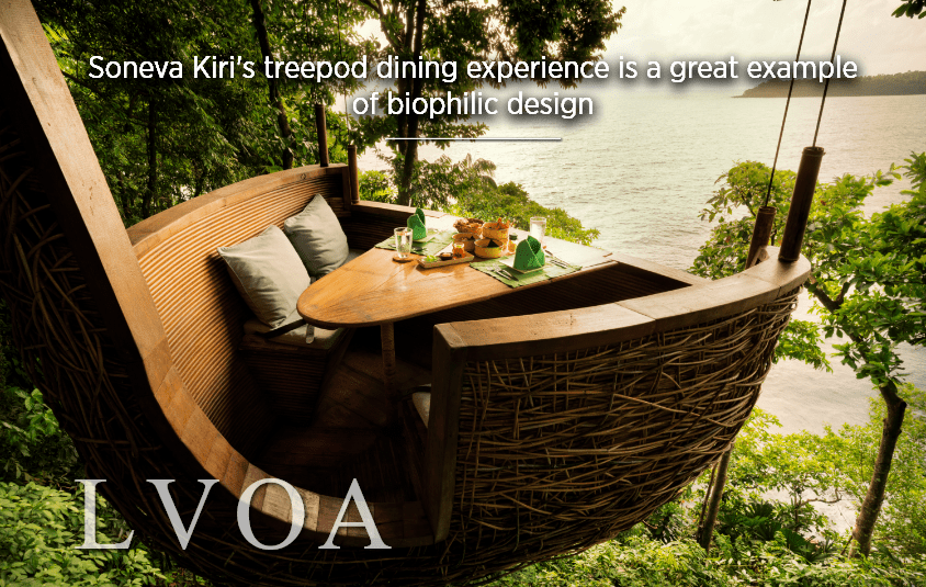 Soneva Kiri's treepod dining experience is a great example of biophilic design